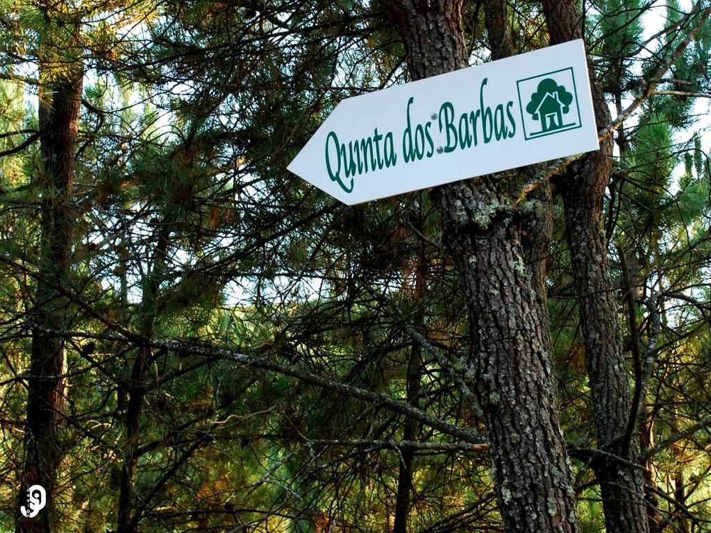 Quinta Dos Barbas Guest House โอลีเวราดวสปิตาล ภายนอก รูปภาพ